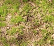 FortSnelling 2014 05 24 010